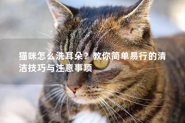 猫咪怎么洗耳朵？教你简单易行的清洁技巧与注意事项