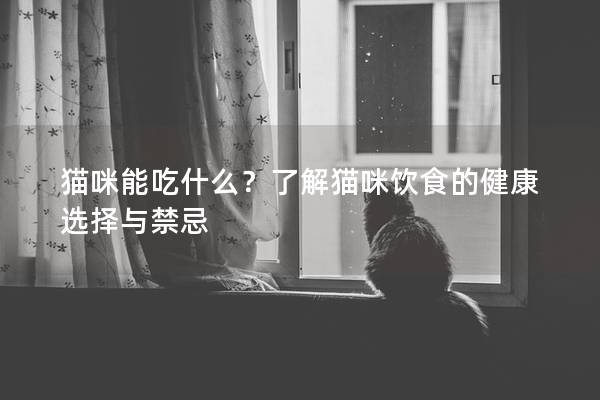 猫咪能吃什么？了解猫咪饮食的健康选择与禁忌