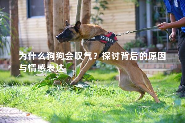 为什么狗狗会叹气？探讨背后的原因与情感表达