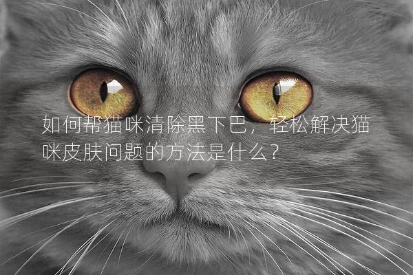 如何帮猫咪清除黑下巴，轻松解决猫咪皮肤问题的方法是什么？