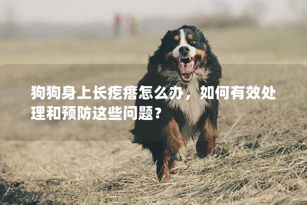 狗狗身上长疙瘩怎么办，如何有效处理和预防这些问题？