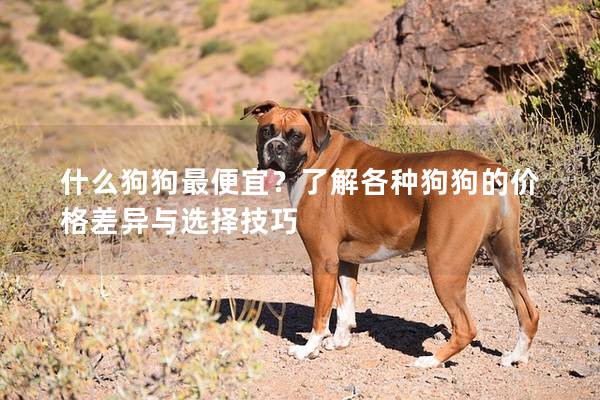 什么狗狗最便宜？了解各种狗狗的价格差异与选择技巧
