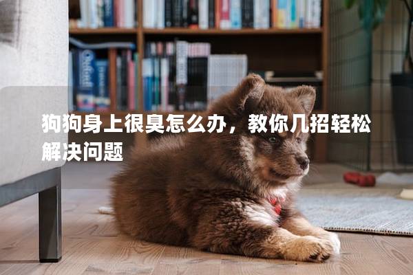 狗狗身上很臭怎么办，教你几招轻松解决问题