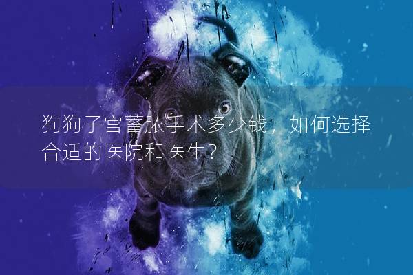 狗狗子宫蓄脓手术多少钱，如何选择合适的医院和医生？