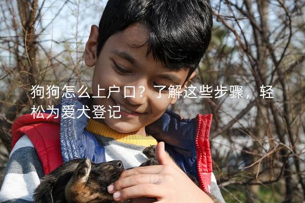 狗狗怎么上户口？了解这些步骤，轻松为爱犬登记