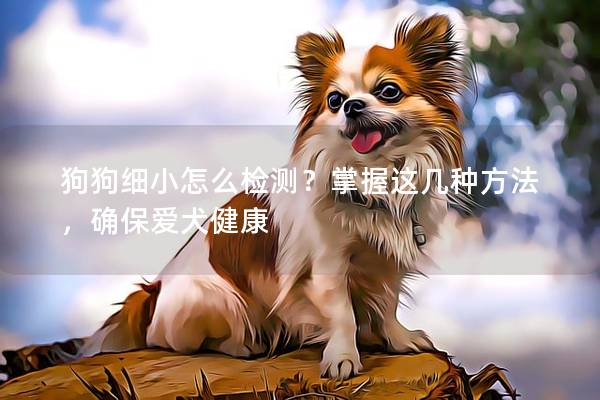 狗狗细小怎么检测？掌握这几种方法，确保爱犬健康