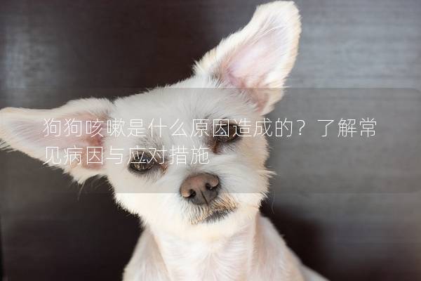 狗狗咳嗽是什么原因造成的？了解常见病因与应对措施