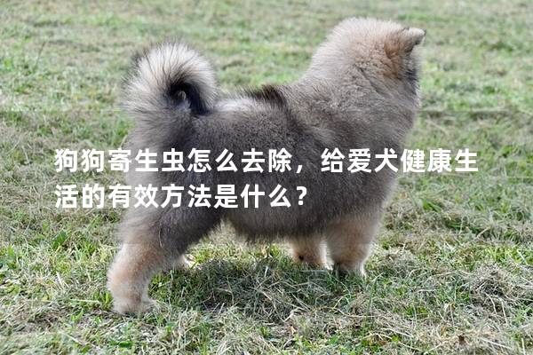 狗狗寄生虫怎么去除，给爱犬健康生活的有效方法是什么？