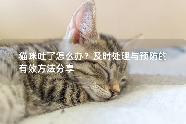猫咪吐了怎么办？及时处理与预防的有效方法分享