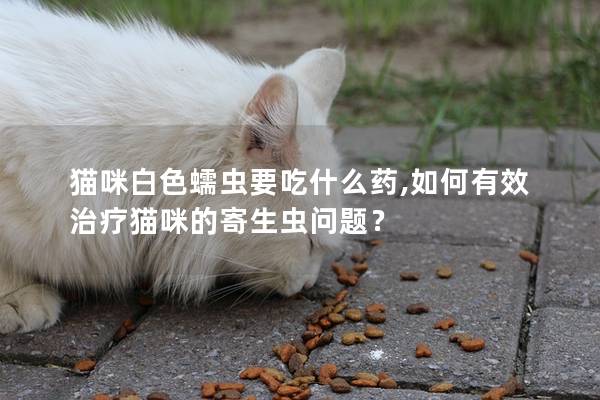 猫咪白色蠕虫要吃什么药,如何有效治疗猫咪的寄生虫问题？