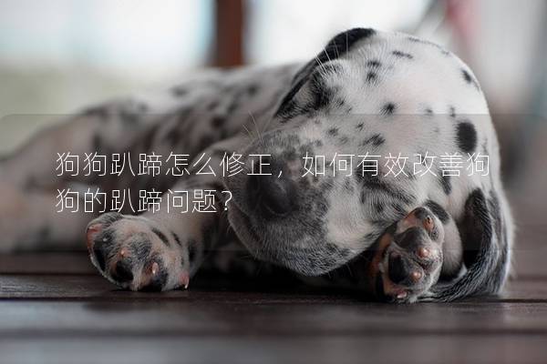 狗狗趴蹄怎么修正，如何有效改善狗狗的趴蹄问题？