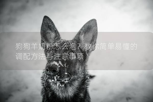 狗狗羊奶粉怎么泡？教你简单易懂的调配方法与注意事项