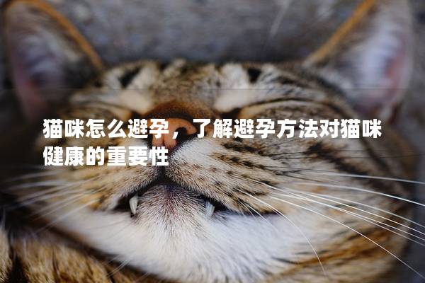 猫咪怎么避孕，了解避孕方法对猫咪健康的重要性