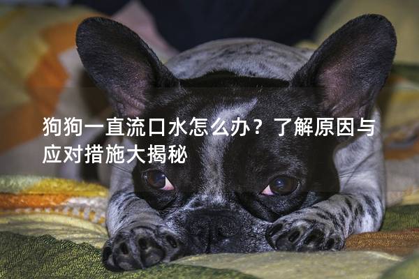 狗狗一直流口水怎么办？了解原因与应对措施大揭秘