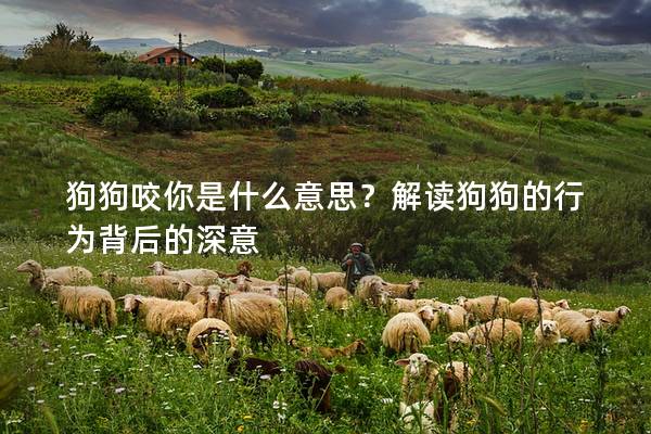 狗狗咬你是什么意思？解读狗狗的行为背后的深意