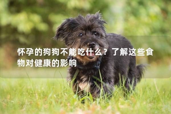 怀孕的狗狗不能吃什么？了解这些食物对健康的影响
