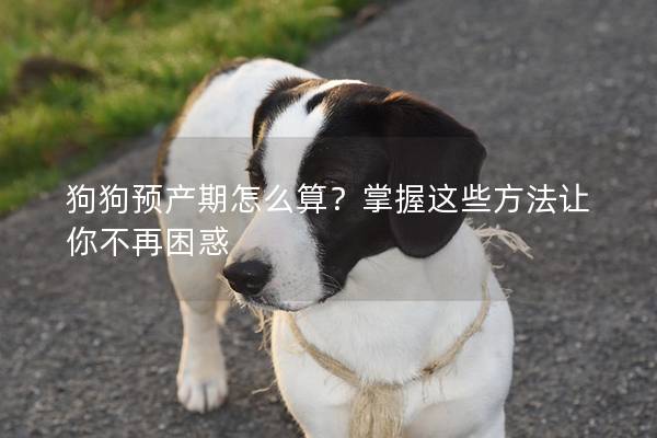 狗狗预产期怎么算？掌握这些方法让你不再困惑