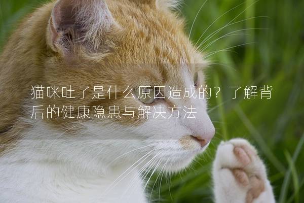 猫咪吐了是什么原因造成的？了解背后的健康隐患与解决方法