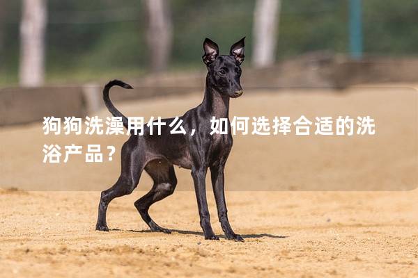 狗狗洗澡用什么，如何选择合适的洗浴产品？
