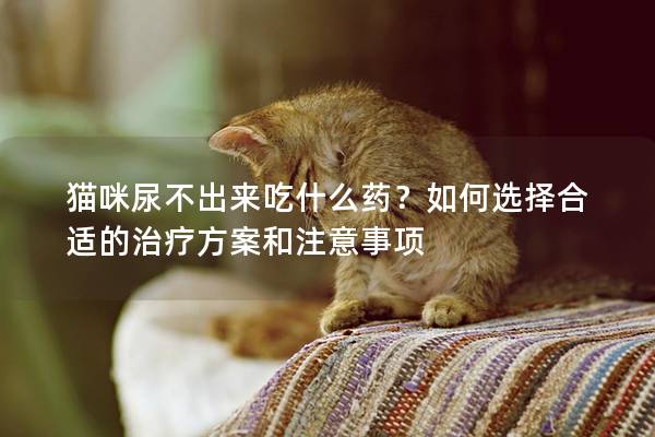 猫咪尿不出来吃什么药？如何选择合适的治疗方案和注意事项