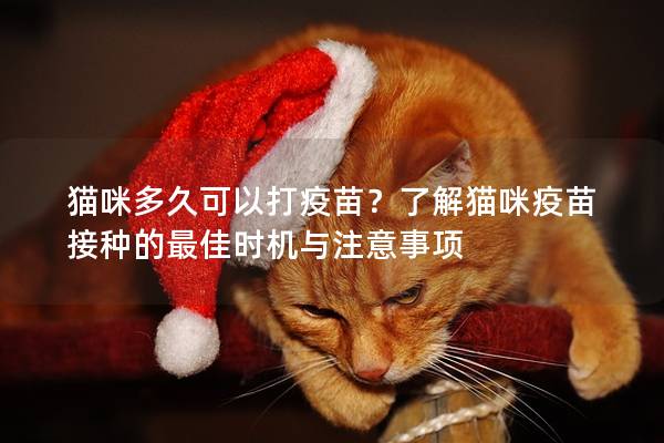 猫咪多久可以打疫苗？了解猫咪疫苗接种的最佳时机与注意事项