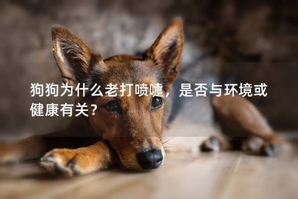 狗狗为什么老打喷嚏，是否与环境或健康有关？