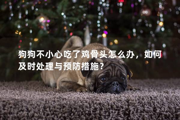狗狗不小心吃了鸡骨头怎么办，如何及时处理与预防措施？