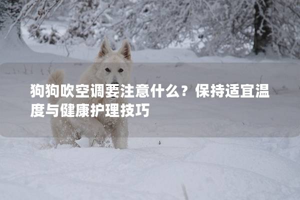 狗狗吹空调要注意什么？保持适宜温度与健康护理技巧