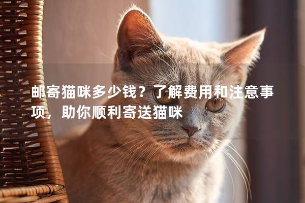 邮寄猫咪多少钱？了解费用和注意事项，助你顺利寄送猫咪