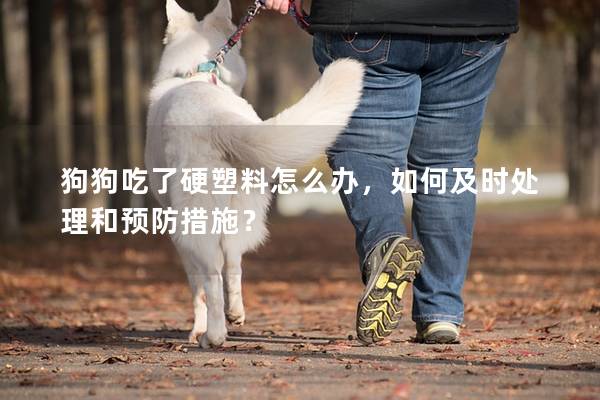 狗狗吃了硬塑料怎么办，如何及时处理和预防措施？