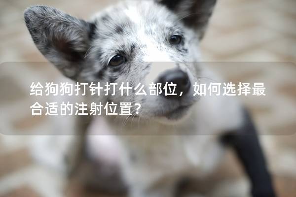 给狗狗打针打什么部位，如何选择最合适的注射位置？