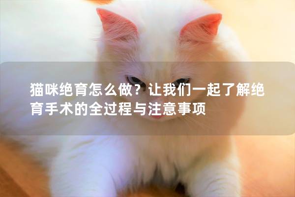 猫咪绝育怎么做？让我们一起了解绝育手术的全过程与注意事项