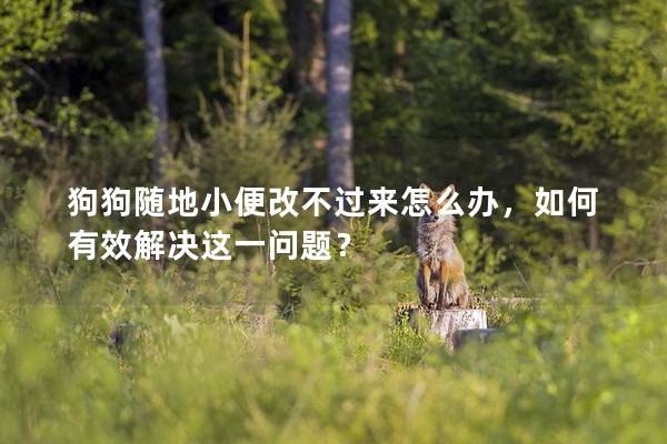 狗狗随地小便改不过来怎么办，如何有效解决这一问题？