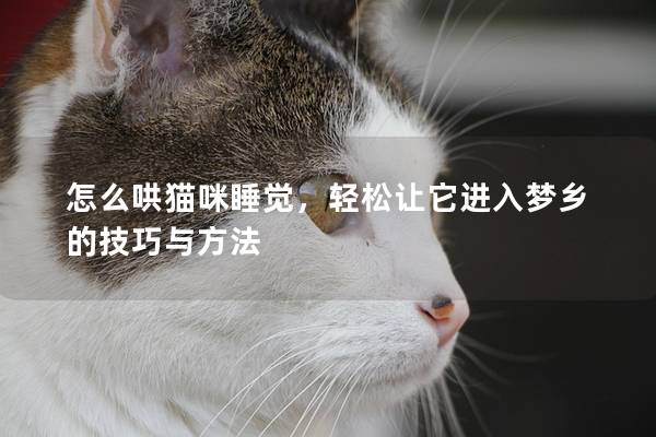 怎么哄猫咪睡觉，轻松让它进入梦乡的技巧与方法