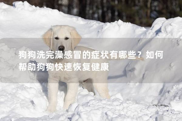 狗狗洗完澡感冒的症状有哪些？如何帮助狗狗快速恢复健康