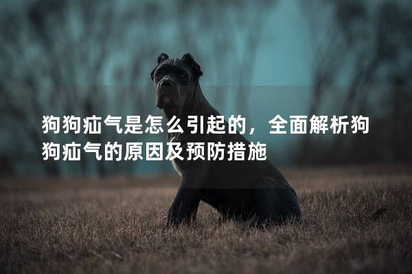 狗狗疝气是怎么引起的，全面解析狗狗疝气的原因及预防措施
