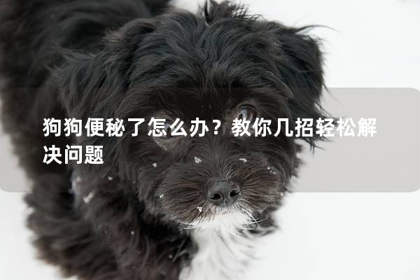 狗狗便秘了怎么办？教你几招轻松解决问题