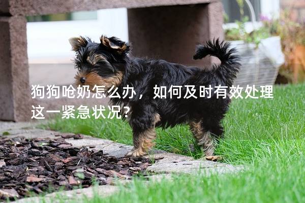 狗狗呛奶怎么办，如何及时有效处理这一紧急状况？
