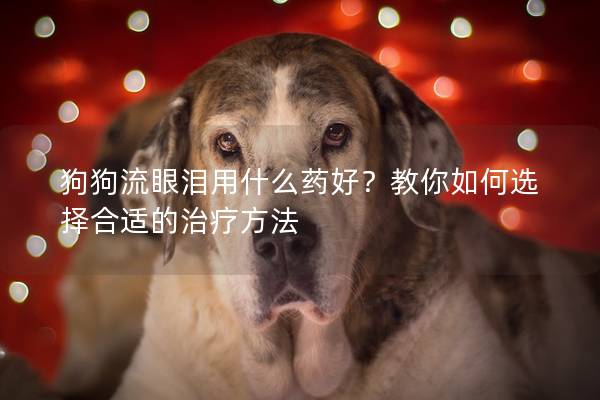 狗狗流眼泪用什么药好？教你如何选择合适的治疗方法
