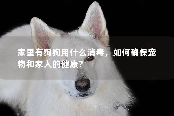 家里有狗狗用什么消毒，如何确保宠物和家人的健康？