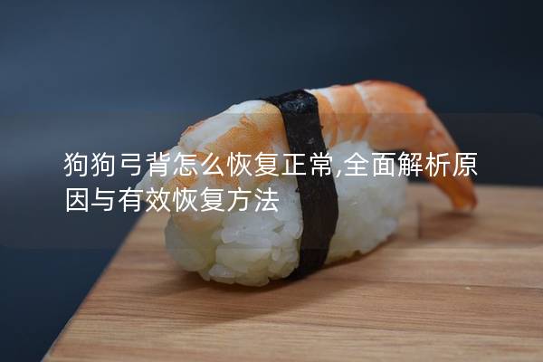 狗狗弓背怎么恢复正常,全面解析原因与有效恢复方法