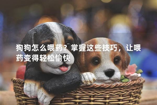 狗狗怎么喂药？掌握这些技巧，让喂药变得轻松愉快