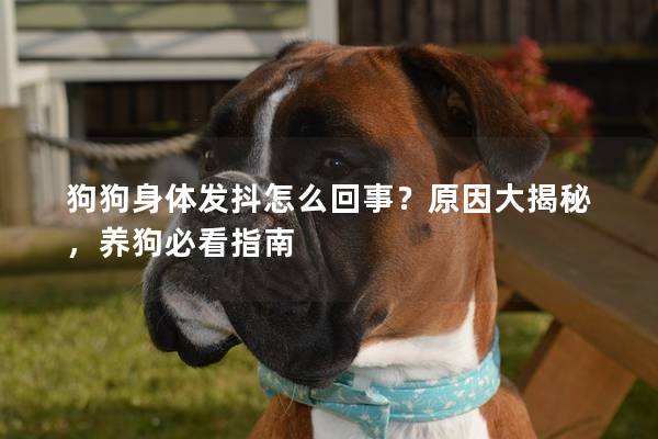 狗狗身体发抖怎么回事？原因大揭秘，养狗必看指南