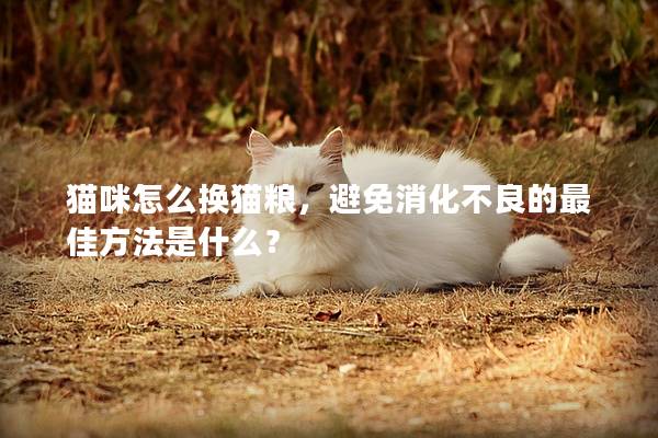 猫咪怎么换猫粮，避免消化不良的最佳方法是什么？