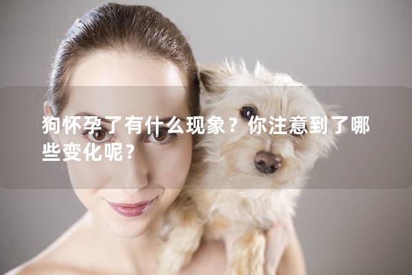 狗怀孕了有什么现象？你注意到了哪些变化呢？