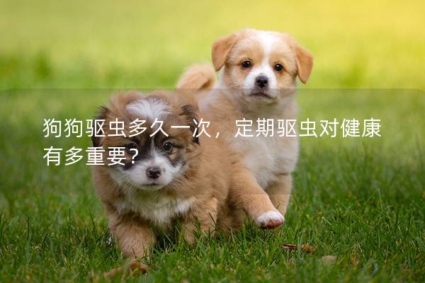 狗狗驱虫多久一次，定期驱虫对健康有多重要？
