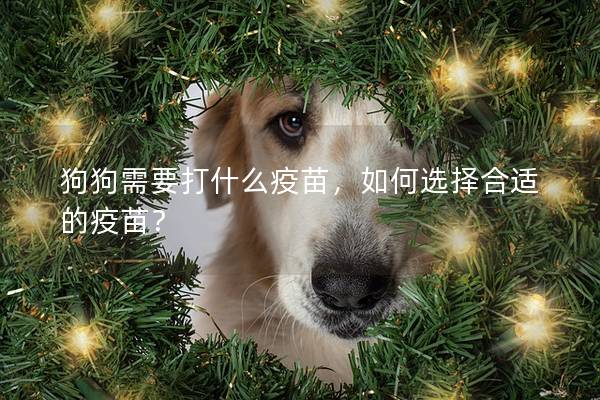 狗狗需要打什么疫苗，如何选择合适的疫苗？