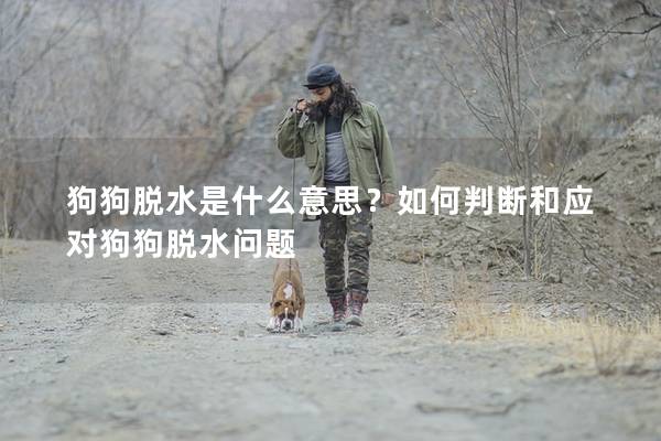 狗狗脱水是什么意思？如何判断和应对狗狗脱水问题