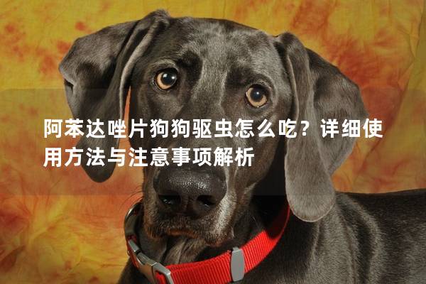 阿苯达唑片狗狗驱虫怎么吃？详细使用方法与注意事项解析