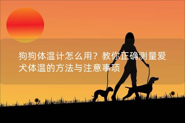狗狗体温计怎么用？教你正确测量爱犬体温的方法与注意事项
